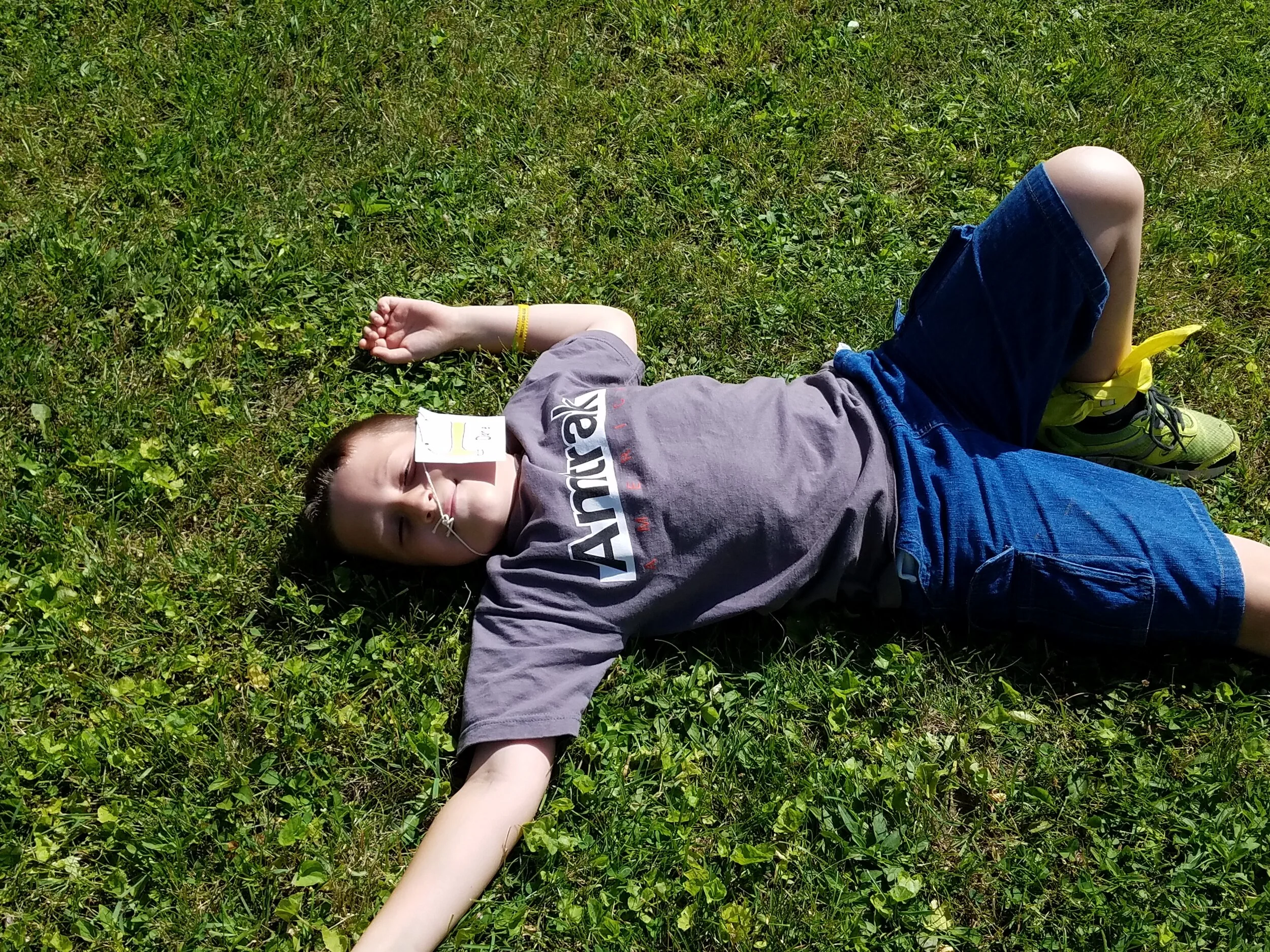 20170626_104225.jpg