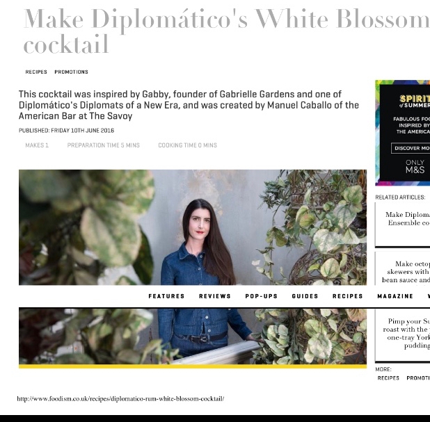 Foodism article featuring Gabrielle Shay, founder of Gabrielle Gardens. Talking about young people in horticultural industries and on being a business ambassador as part of the Diplomatico rum brand campaign.