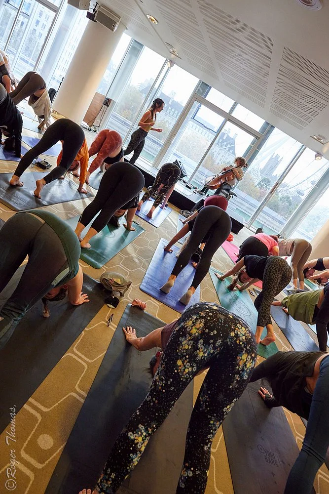 JazzYogaEFGLJF2023_14A7300.jpg.p.jpg