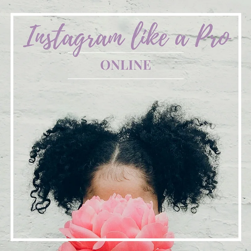 Review: Vic Styles Instagram Like a Pro Online Course
