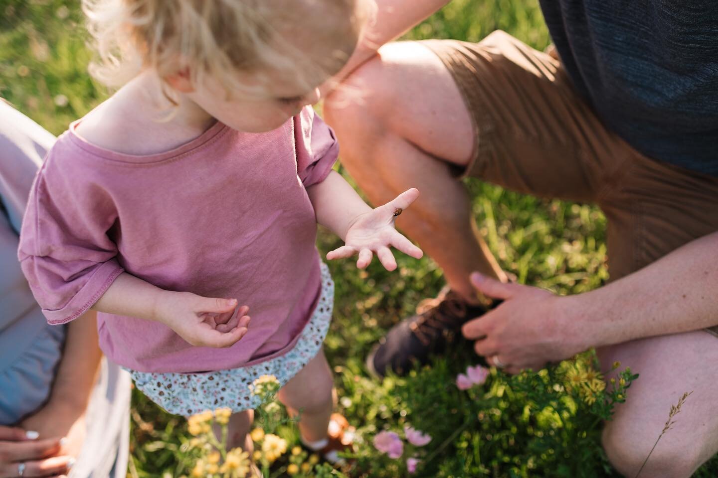 SPRING MINI SHOOTS!

Sunday 26th March &amp; Sunday 23rd April 

&pound;85 for 25 minute shoot including 10 photos.

For families, couples or anyone who&rsquo;d like some outdoor photos!

Location: less than 15 mins from Guildford &amp; Godalming (ms