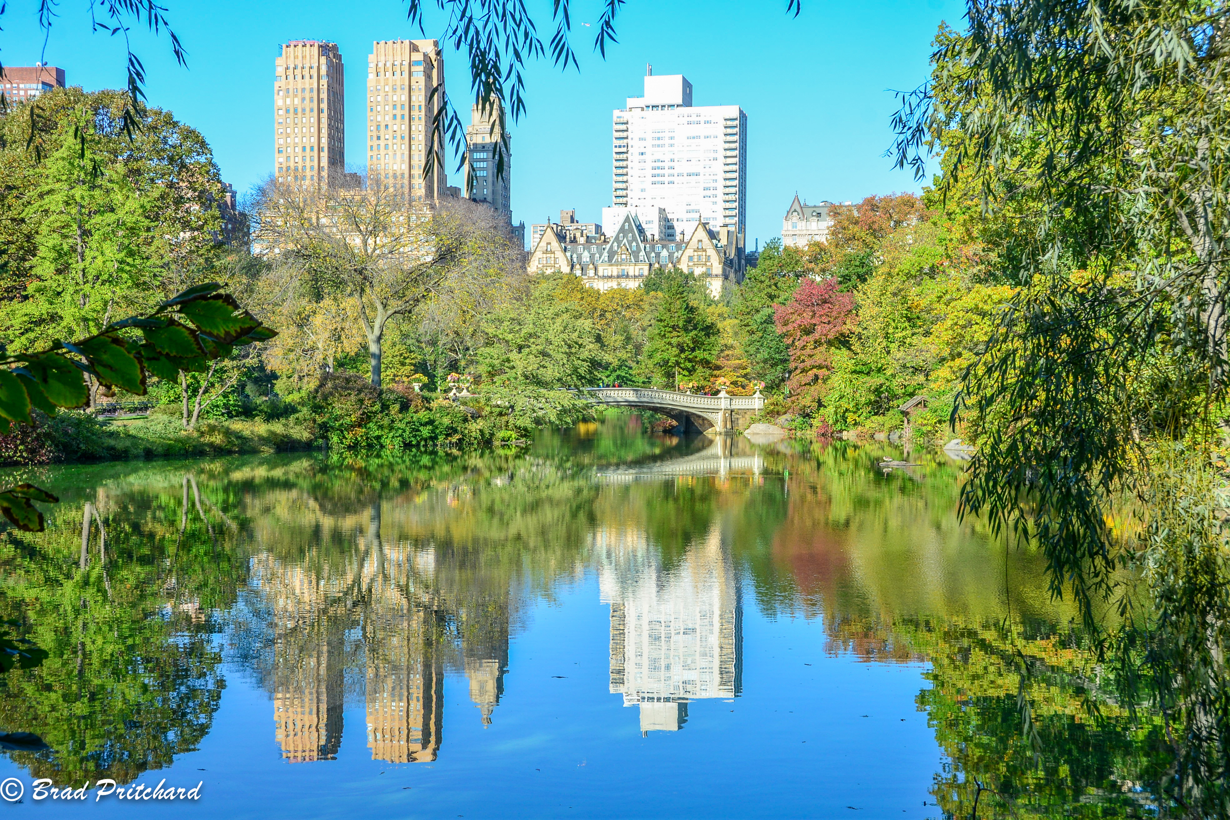 Central Park: We could also get this as a background shot. There are some additional vintage points closer to the bridge as well.
