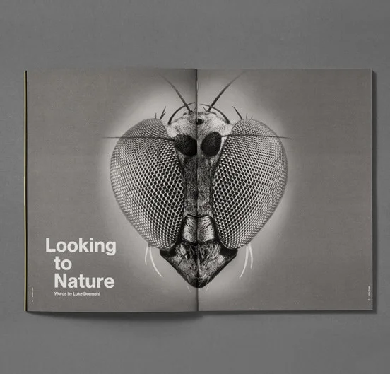 B-V_issue2_spread4-552x529.jpg