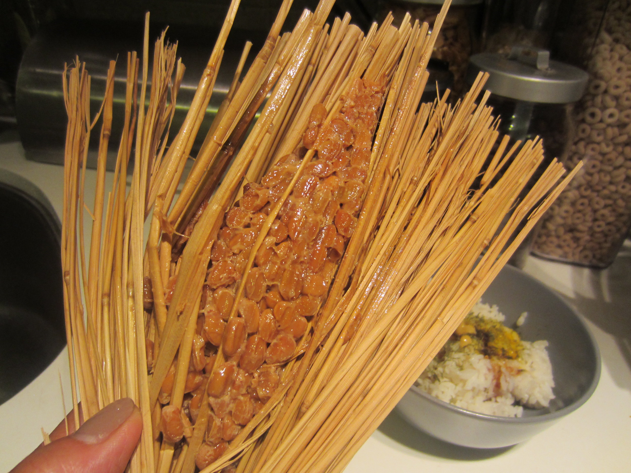 Natto wrapped traditionally in rice straw, having survived a trans-Pacific flight and avoided TSA, wonderfully fragrant of earth and grass.