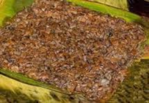 Indian hawaijar fermented in leaf