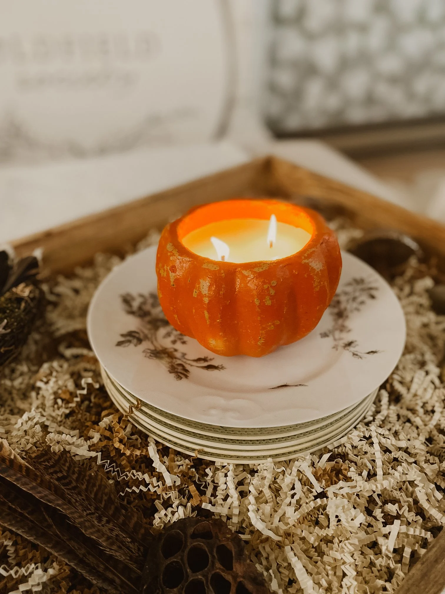 Pumpkin 8.jpg