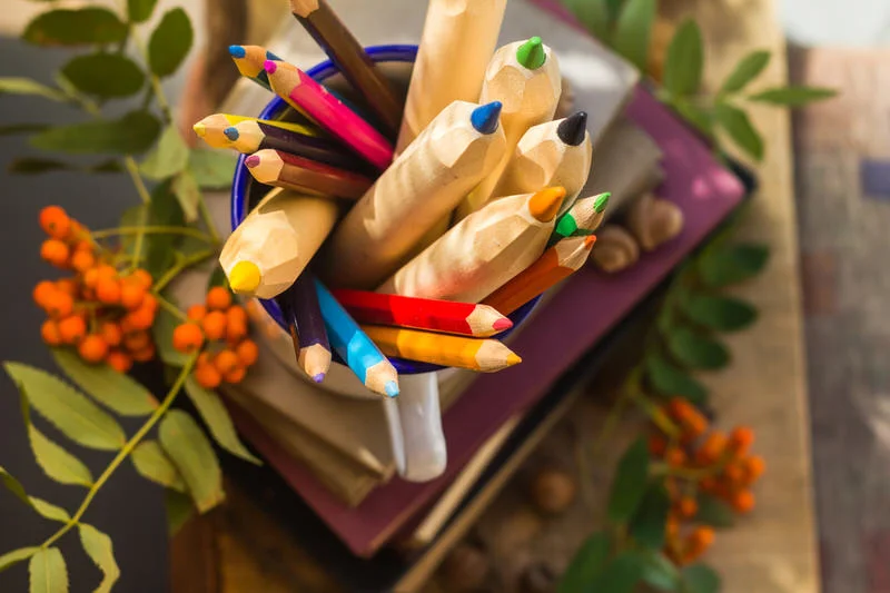 Pencils books concept back school