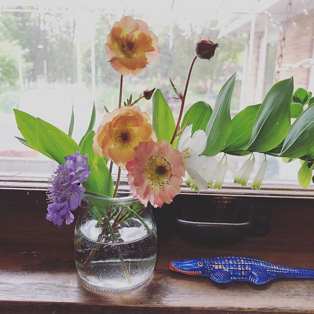 My little kitchen sink window vase is looking mighty pretty. Purple - scabiosa(excited to see the seed pods when they&rsquo;re done blooming). Greens and white bells - King Solomon&rsquo;s Seal(planted yesterday, these were the casualties of my clums