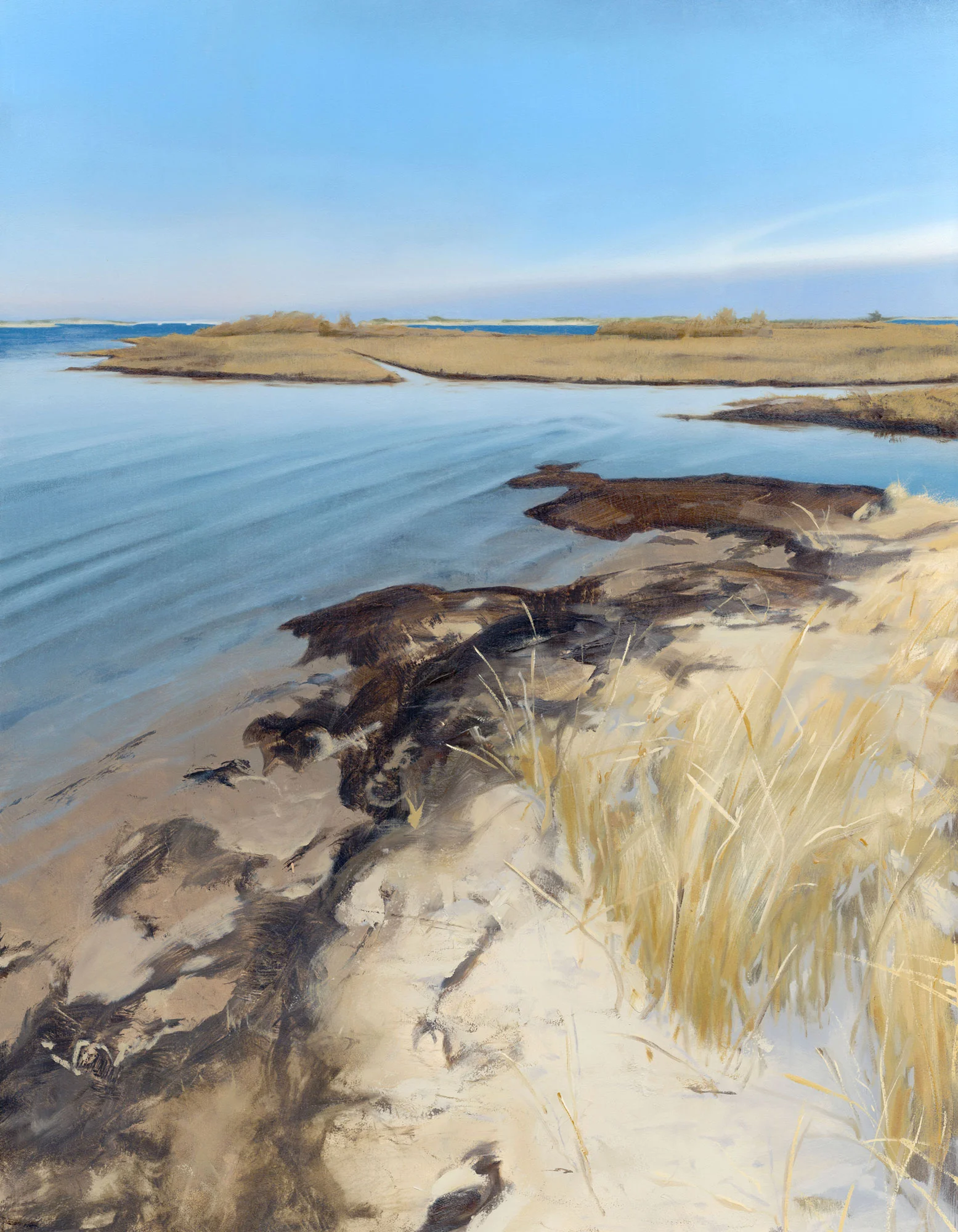 Tidal Marsh II