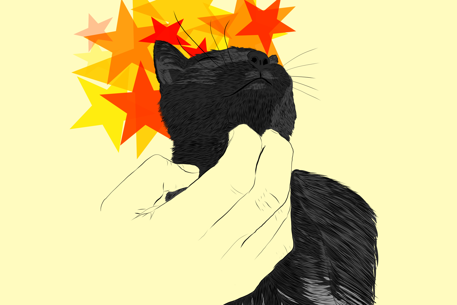 IMG_0201.png