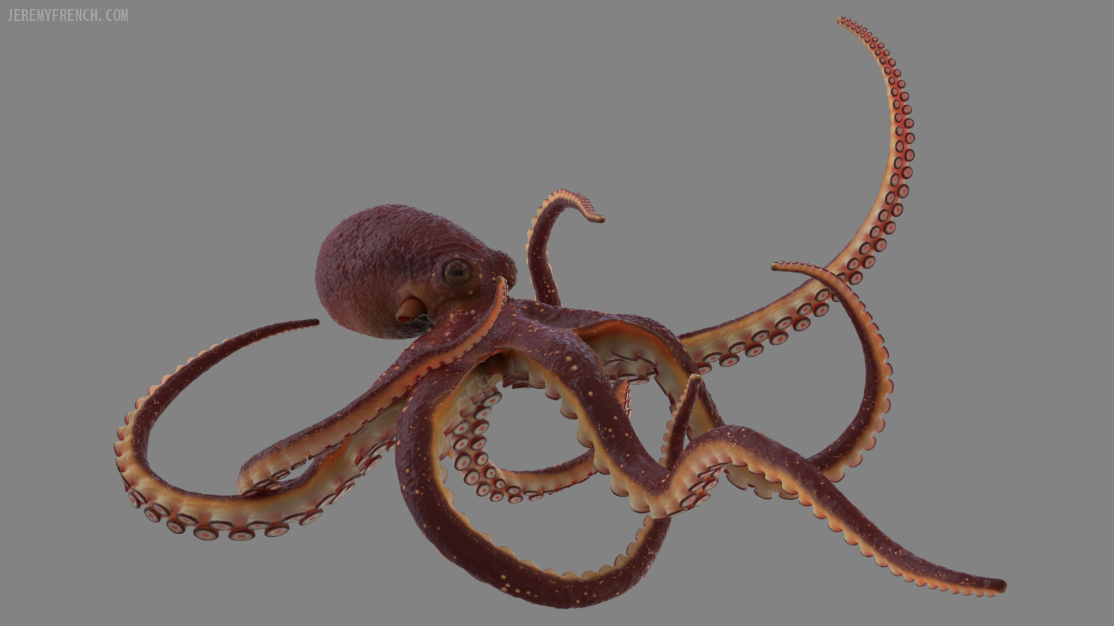 Maya, Mudbox, Photoshop, Keyshot