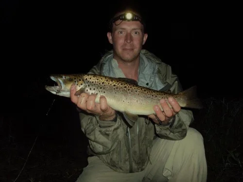 Brown+Trout+During+Hex+Hatch+2.JPG