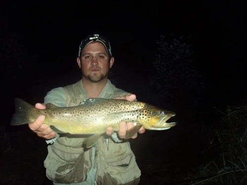 Brown+Trout+During+Hex+Hatch+1.JPG