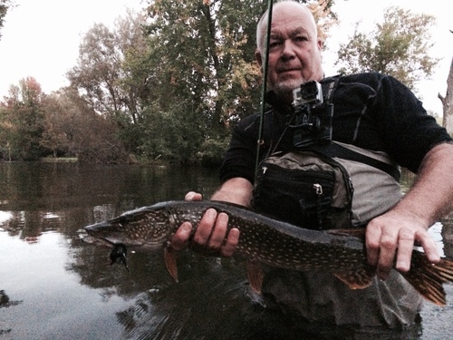 fly-fishing-the-fly-factor-guide-northern-pike.jpg