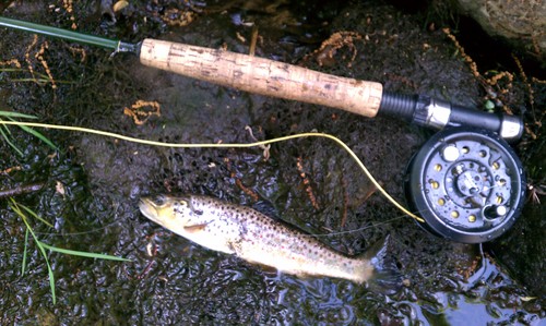 fly-fishing-the-fly-factor-trout-1.jpg