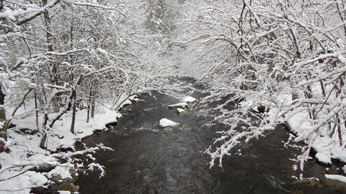 fly-fishing-the-fly-factor-wildlife-river-winter-snow.jpg