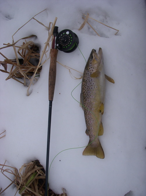 fly-fishing-the-fly-factor-winter-trout.jpg