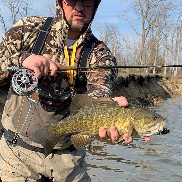 Lake Huron bronze @fly_ficionado 
#flyfactor #smallmouth #springrun #streamer #streamerjunkie #orvis #lamson #airflo #simmsflyfishing