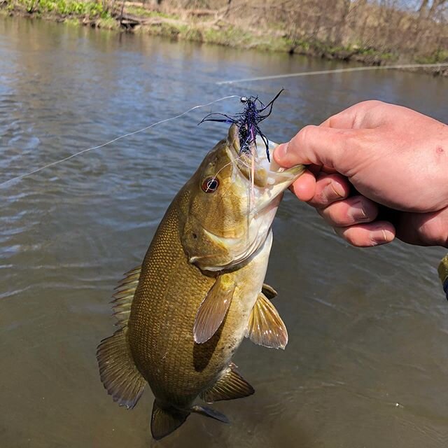 Marks grandson Joey taking advantage of spring - getting out for some smallmouth fishing on the Kalamazoo 
#flyfactor #flyfishing #michigan #kalamzooriver #streamer #streamerjunkie #fishing #smallmouthbass