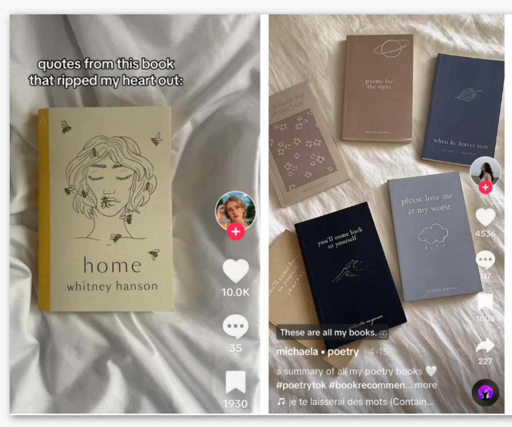 What it Takes to Be a TikTok Poet