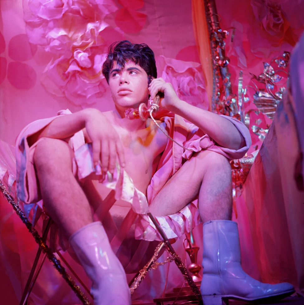 Pink Narcissus 1.jpg