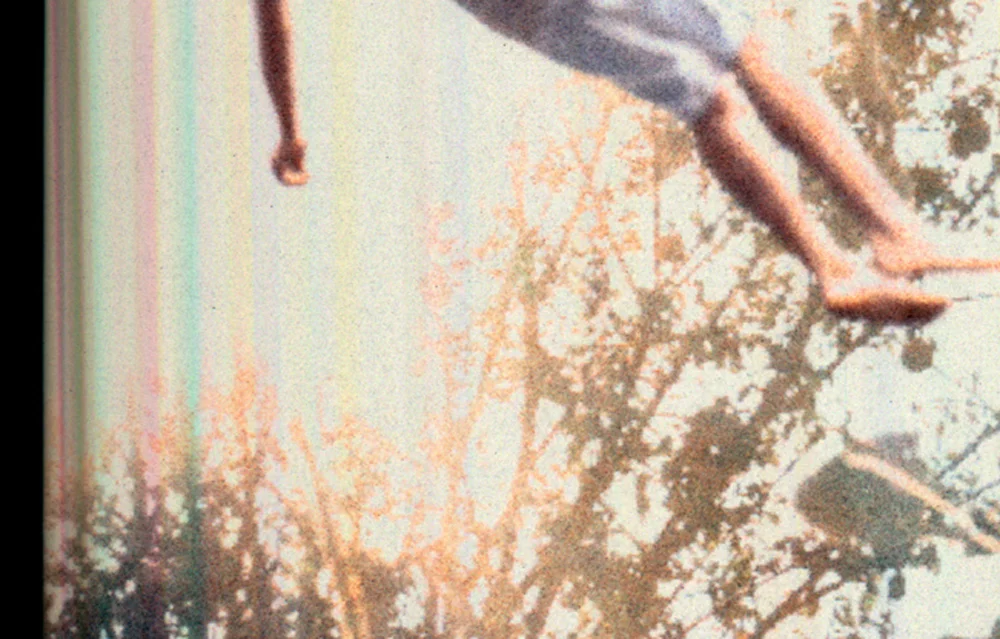 falling-in-trees12.jpg