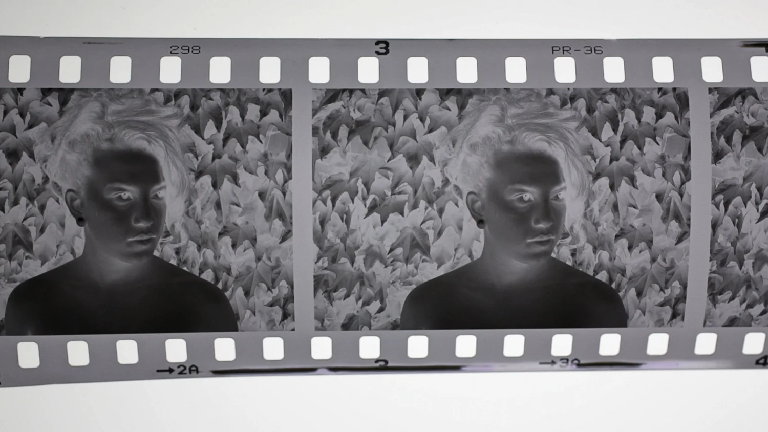 Harvey Wang’s negatives of Sophia by Harvey Wang.jpg