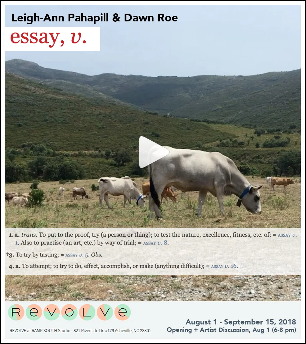 ESSAY_REVISED_BORDER.jpg
