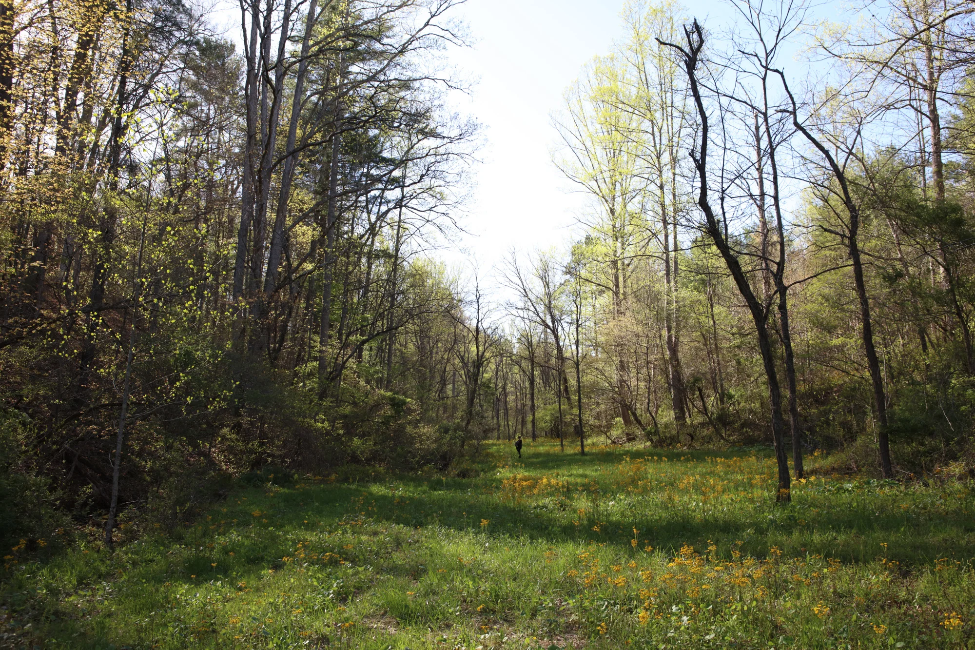 BroadSense_land-4.jpg