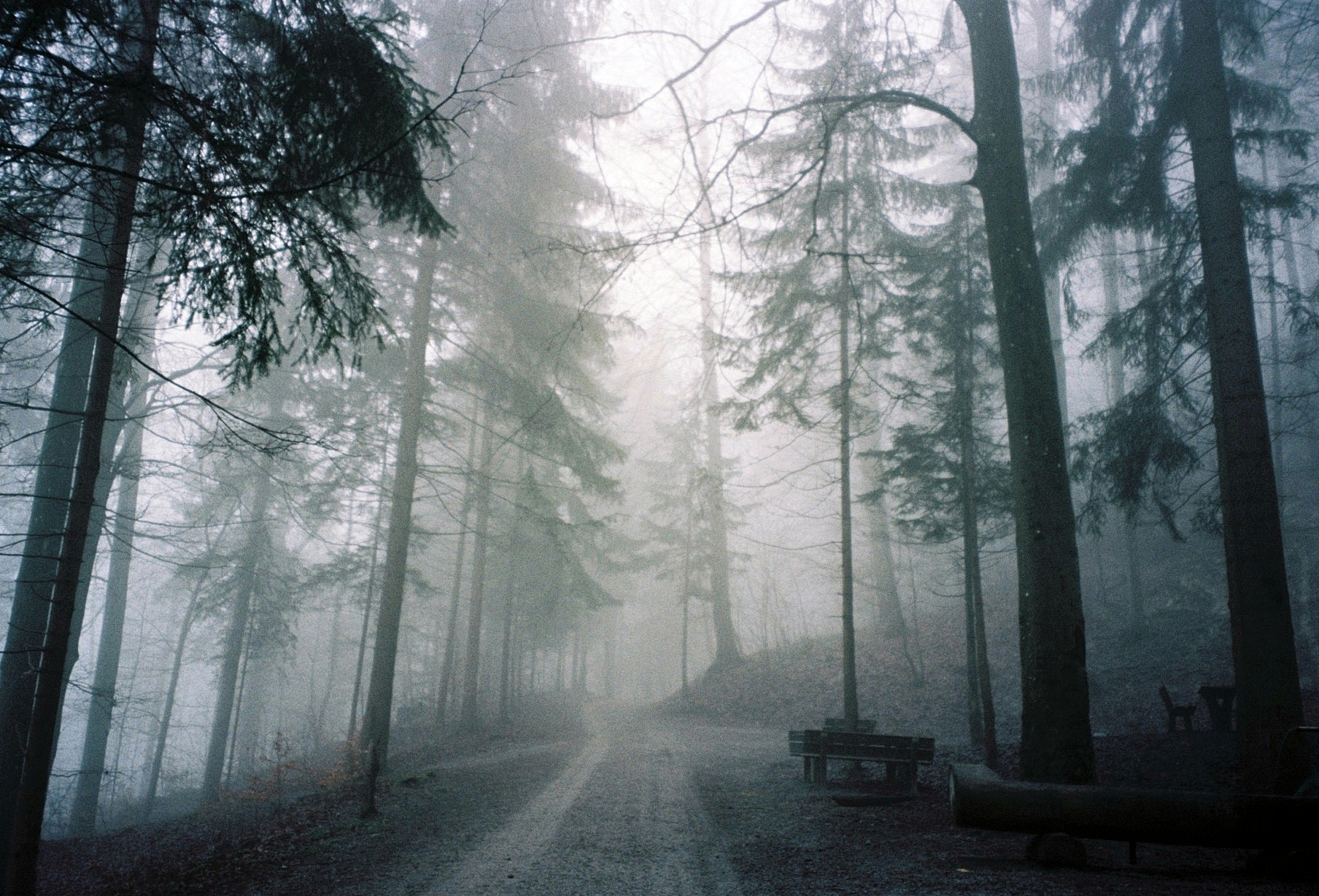 Üetliberg, Switzerland (2014)