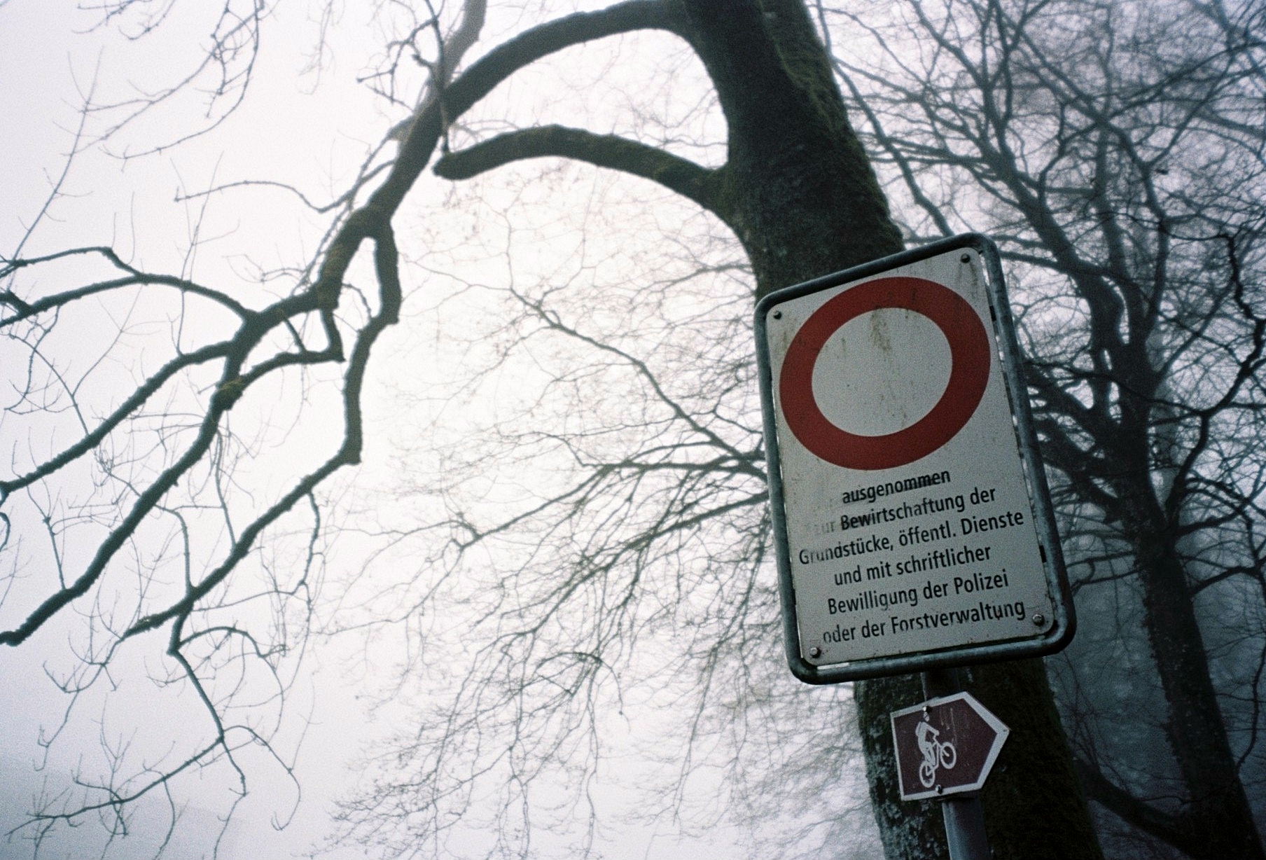 Üetliberg, Switzerland (2014)