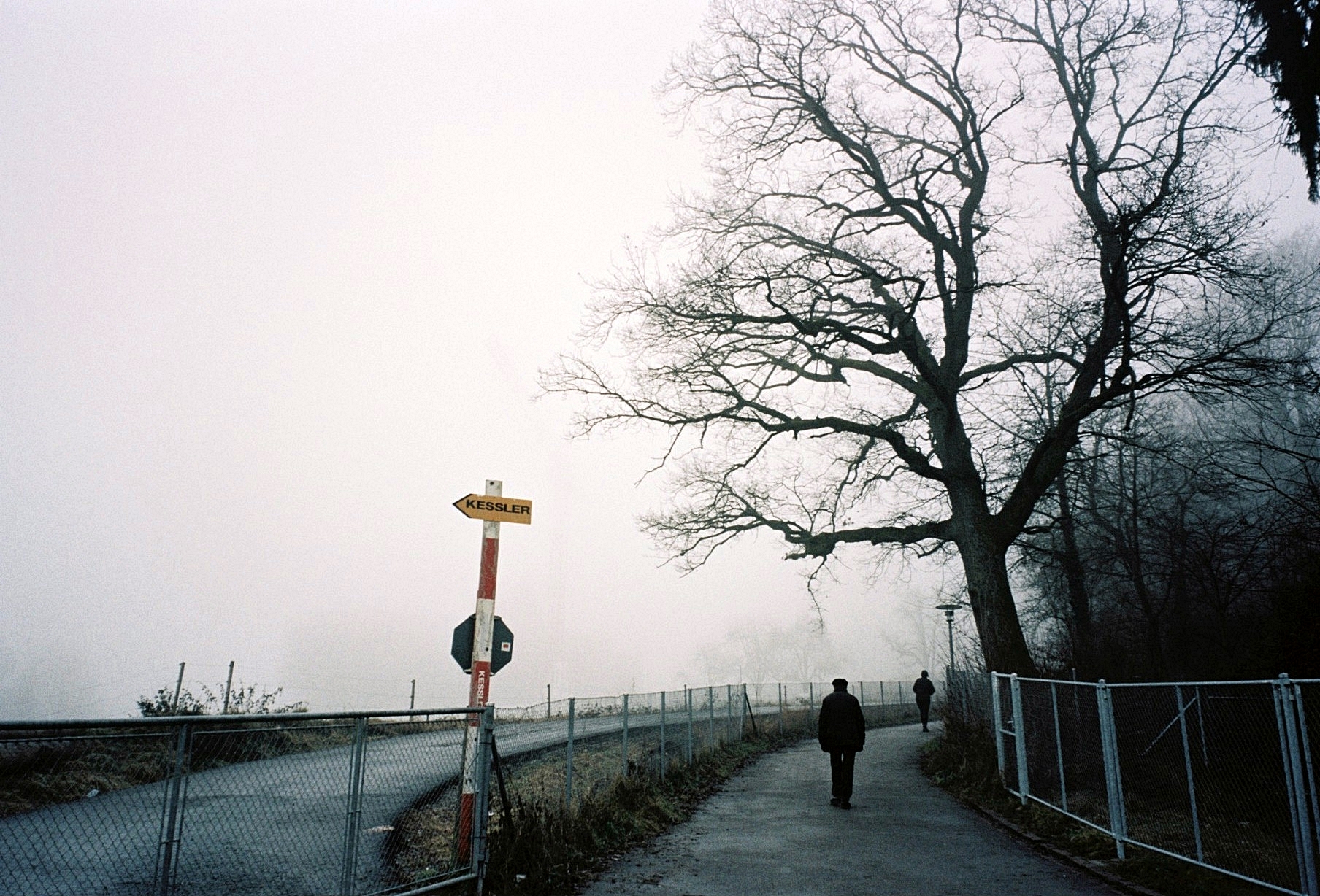 Üetliberg, Switzerland (2014)