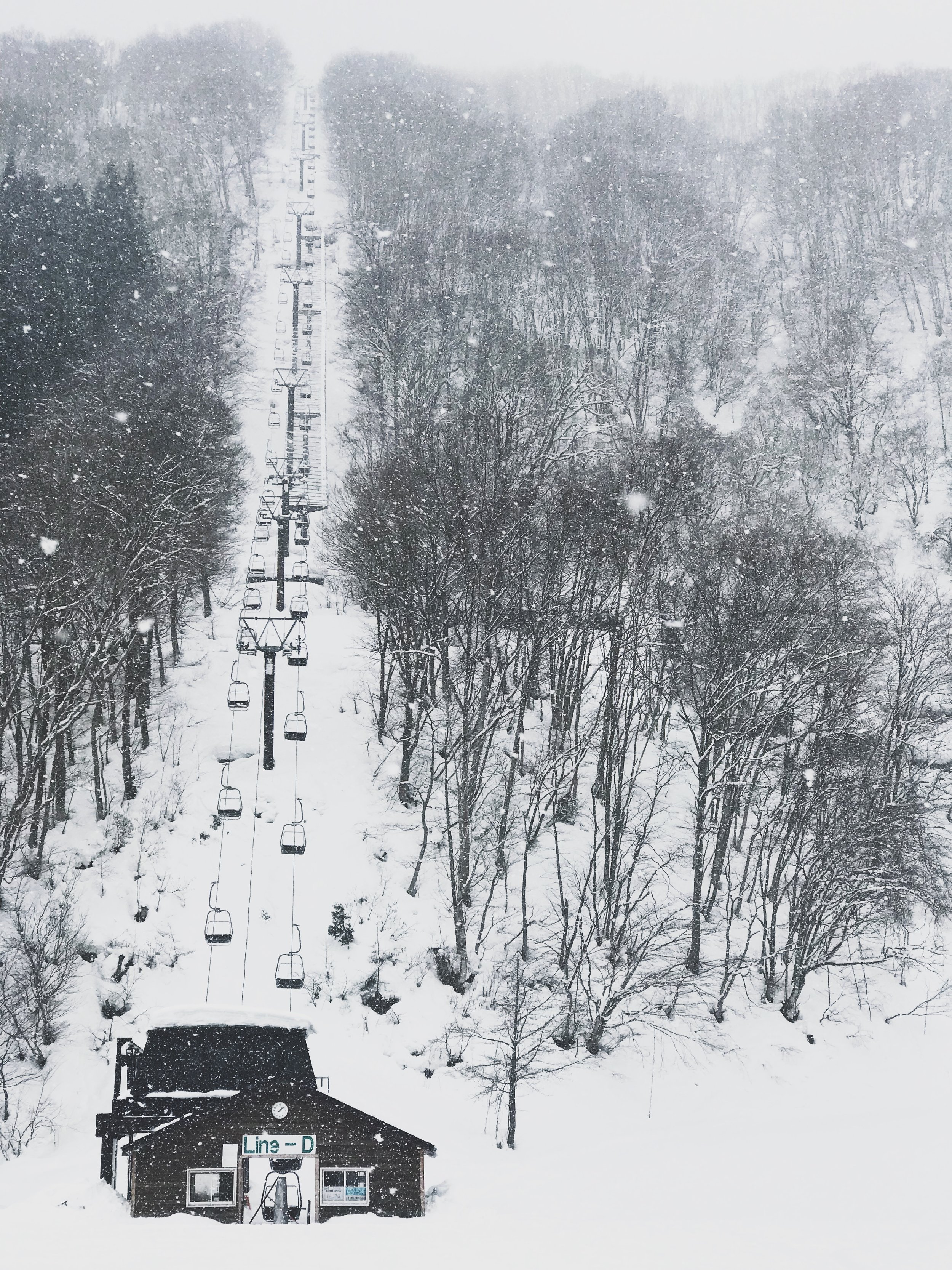 Nagano, Japan (2019)