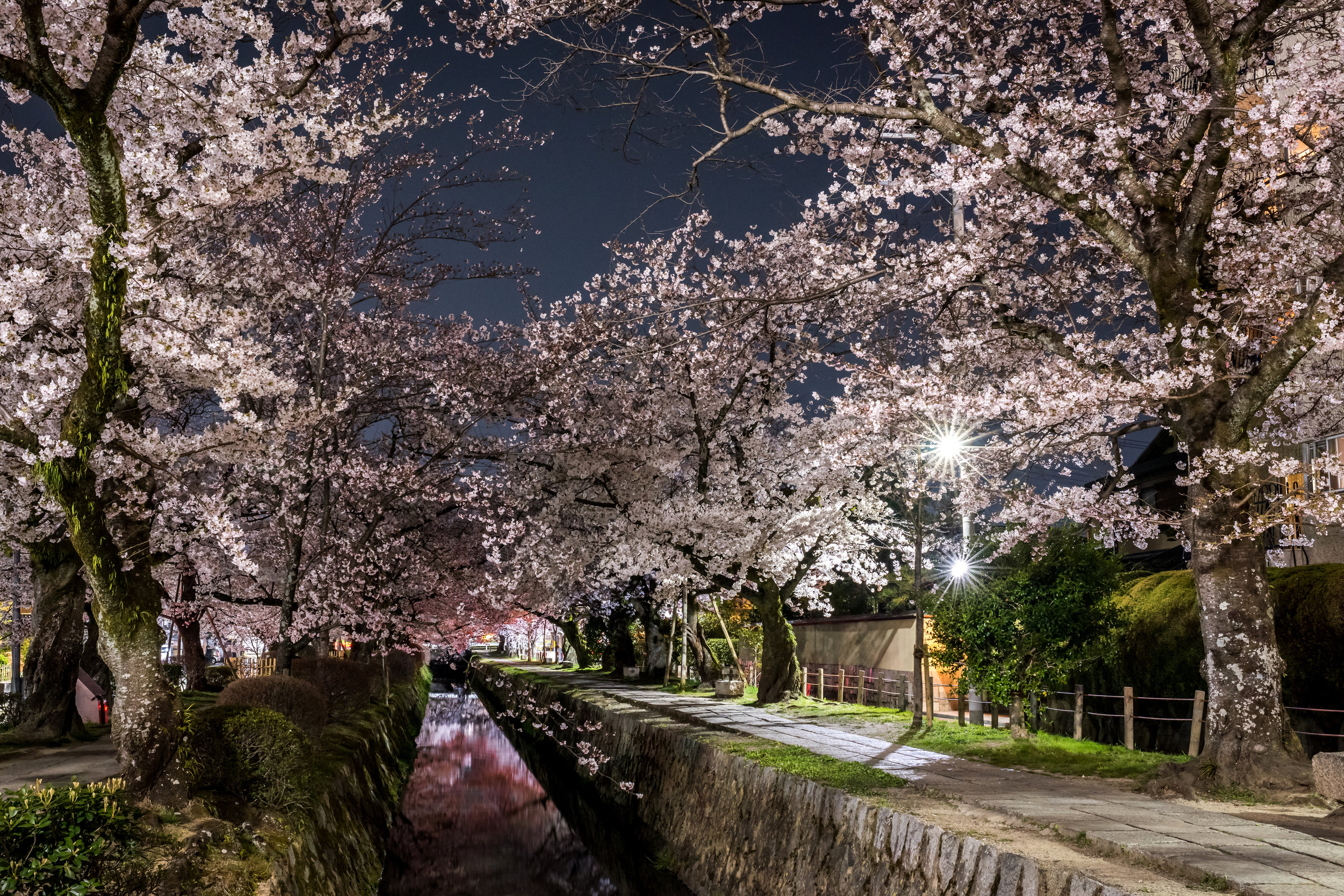 Kyoto, Japan (2019)