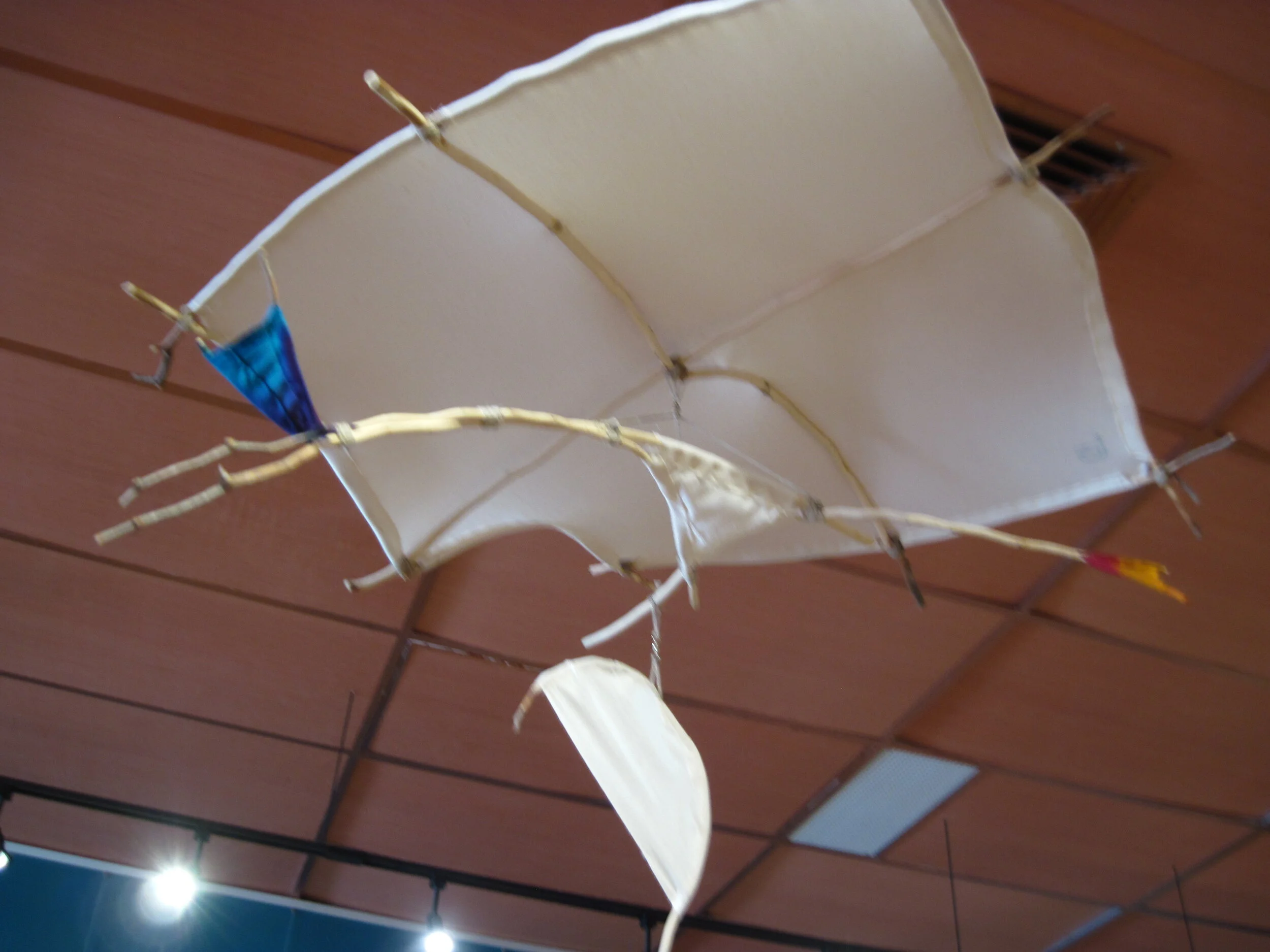 Sunrise, Sunset, a Moon and a Nest