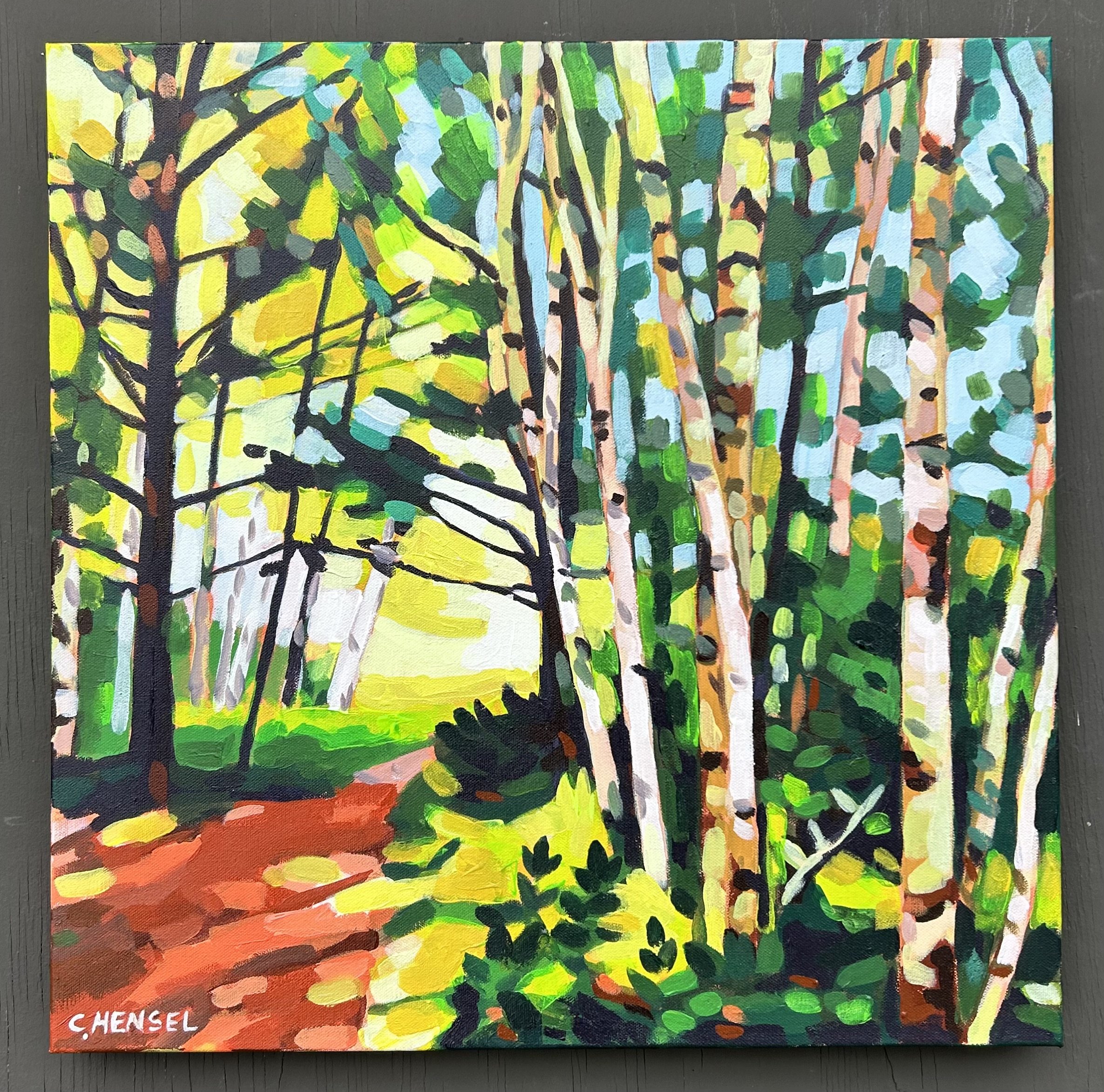 Birch Path