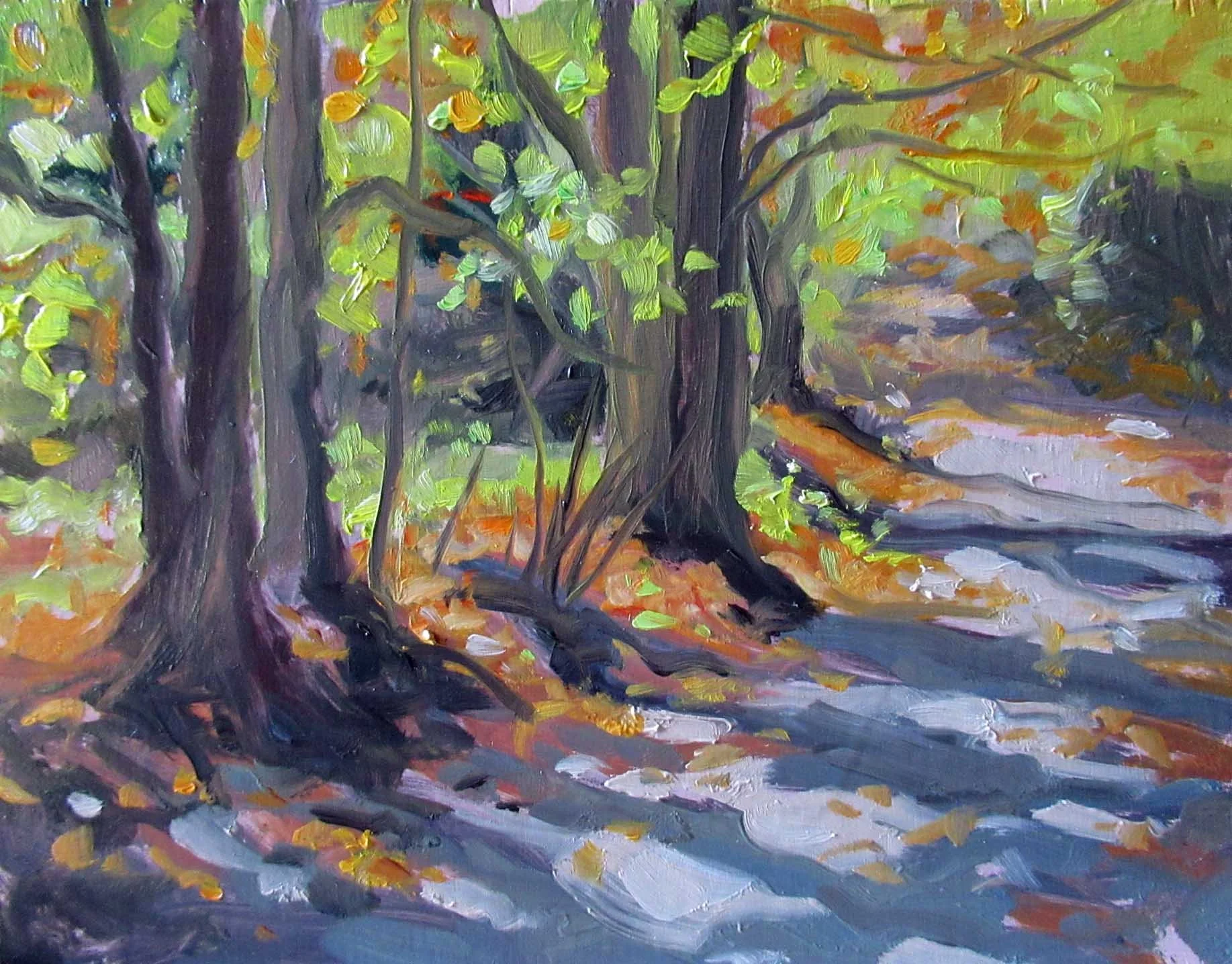 Along Toad Lake Road