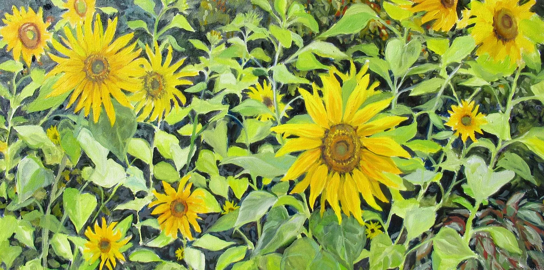 Sunflowers