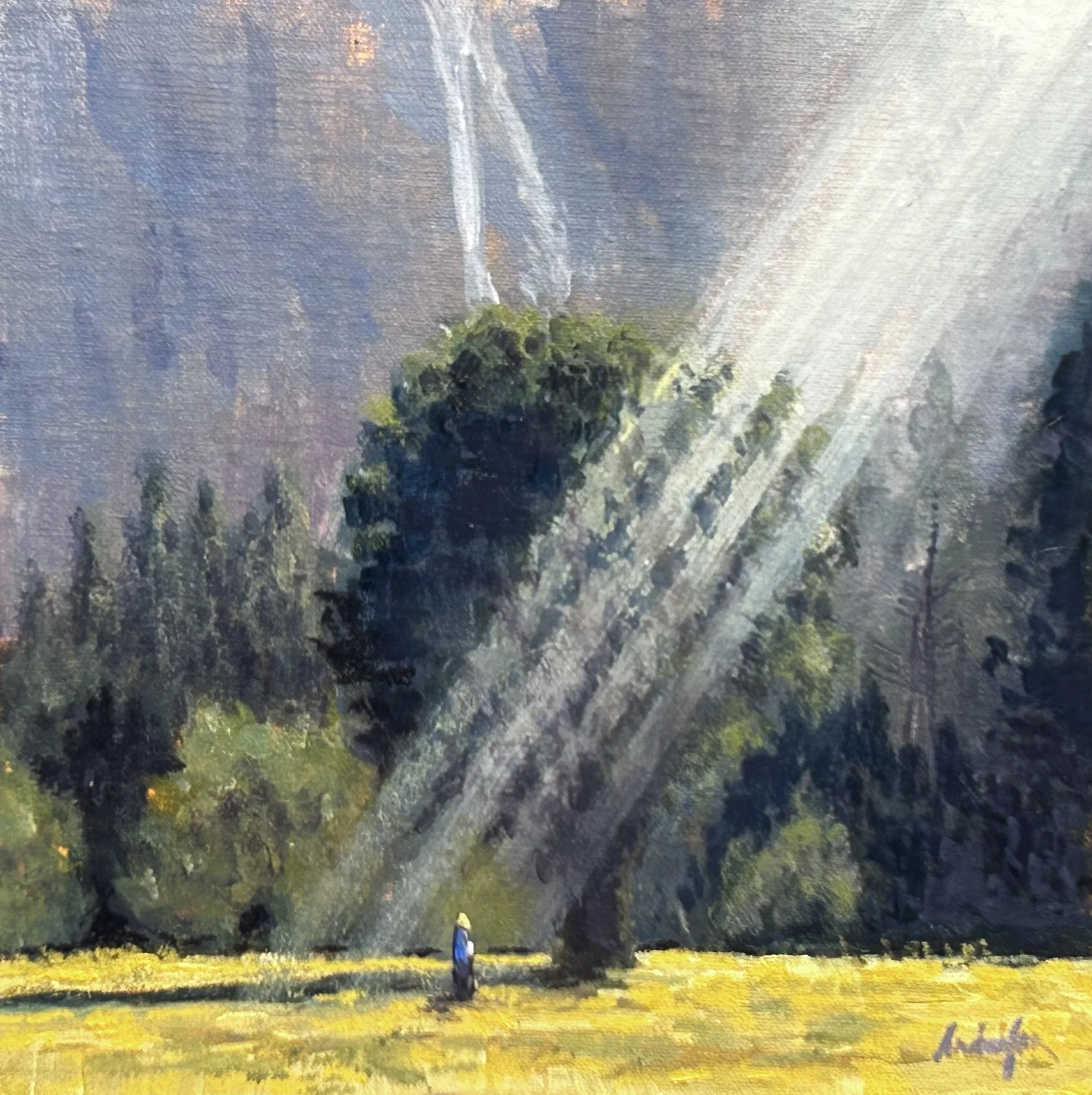 Mountain Meadow Revelation