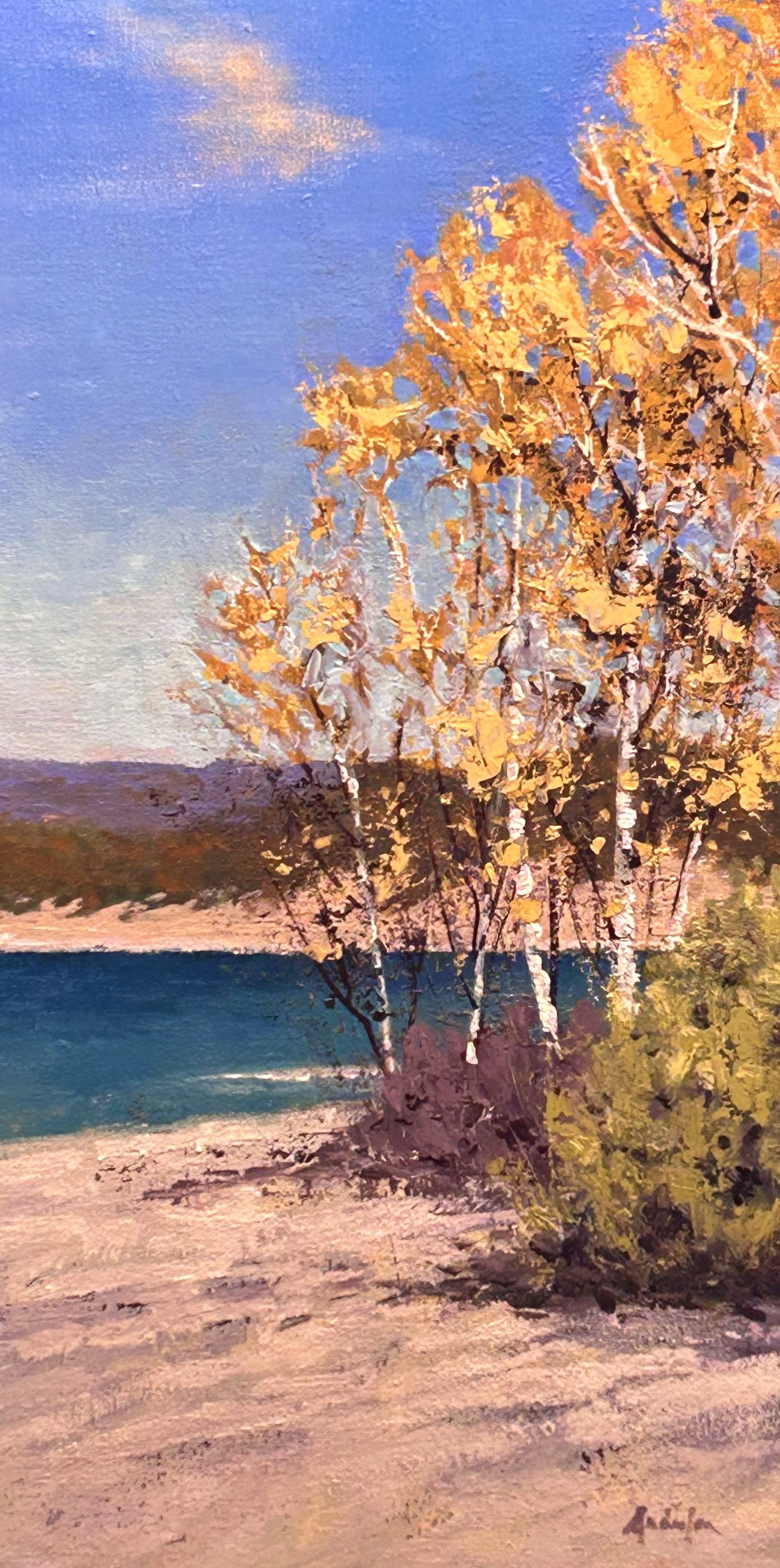 Lakeshore Birches 