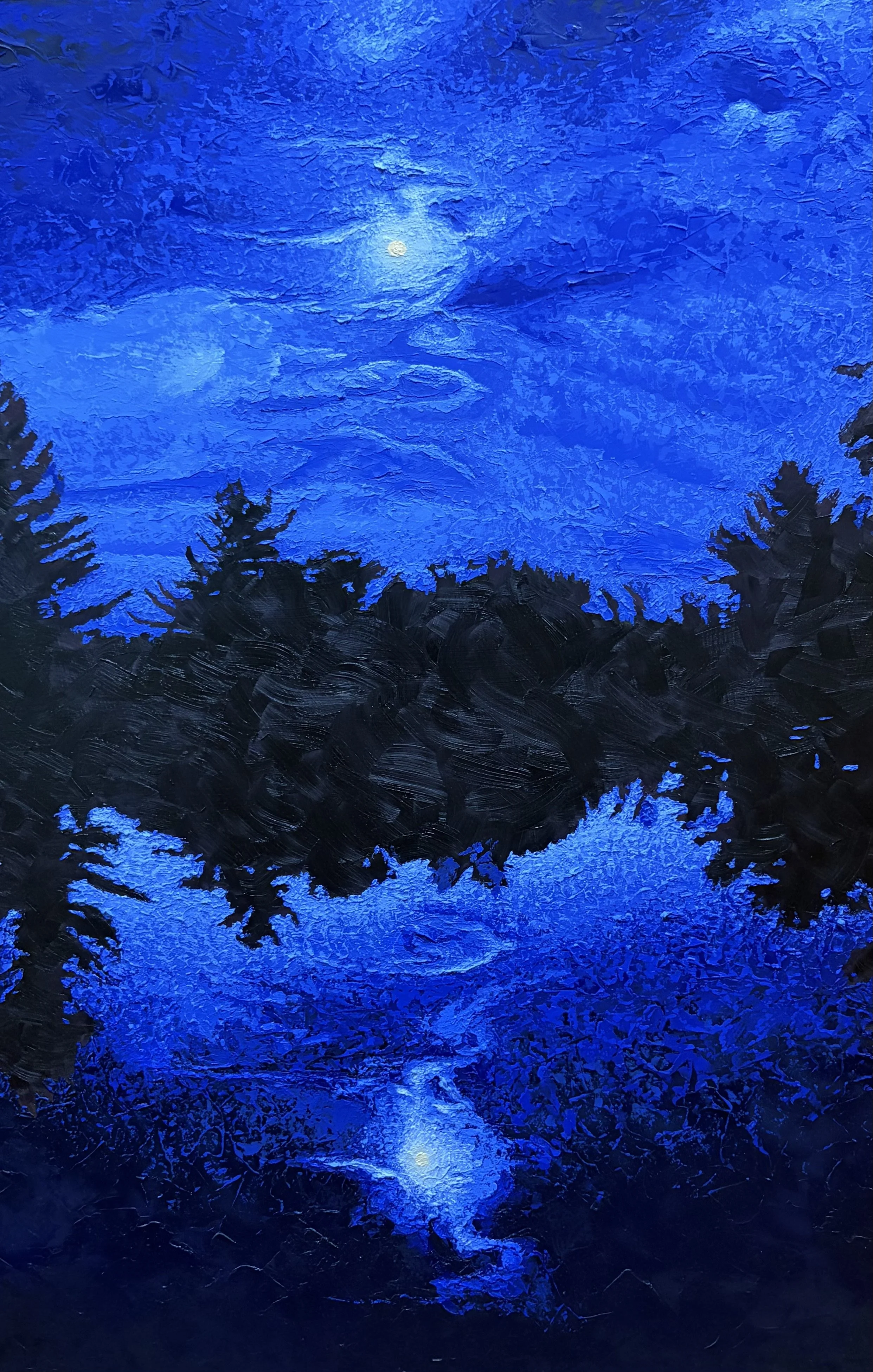 Beyond the Pale Reflection 