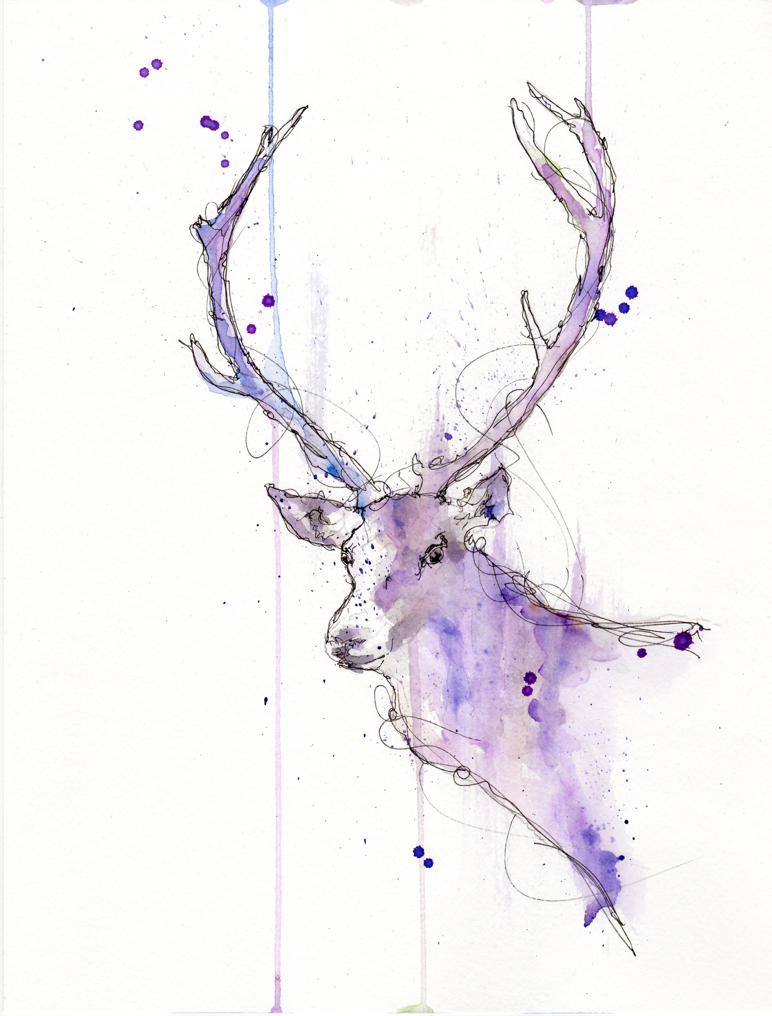 violet stag.jpg