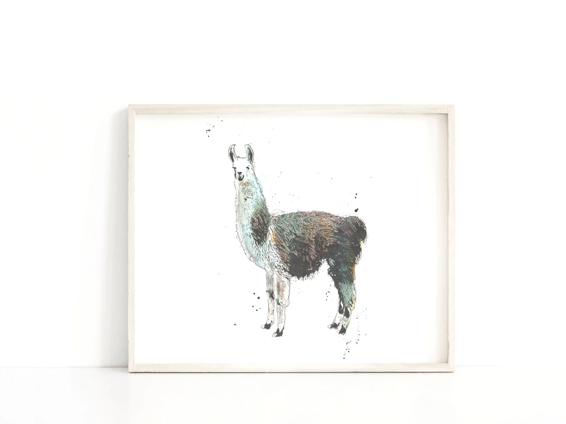 Llama