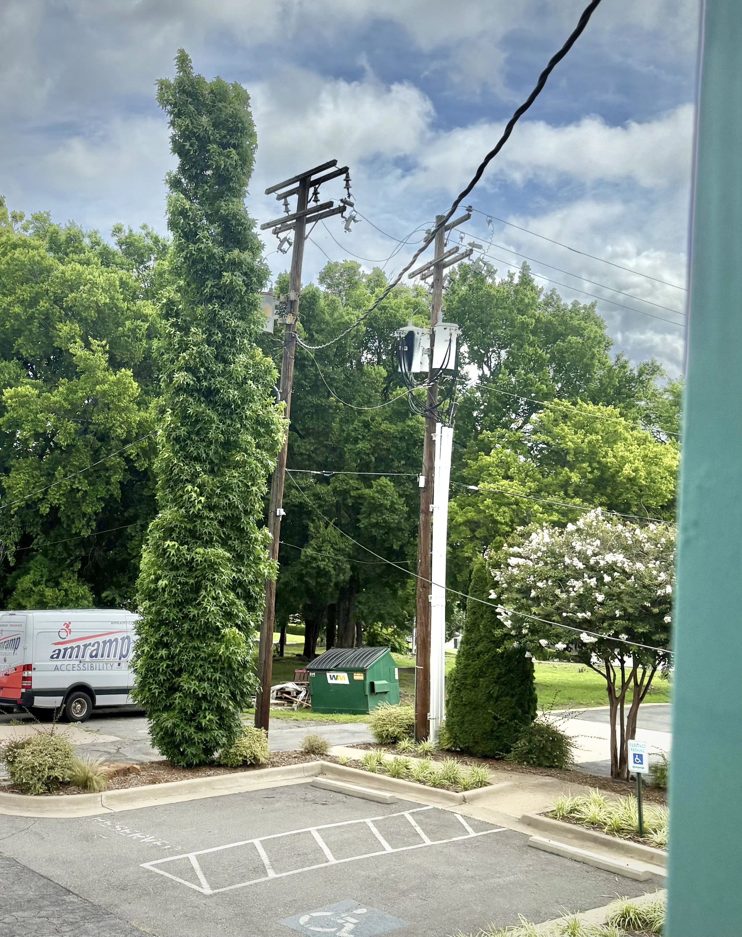 Powerline1.jpg