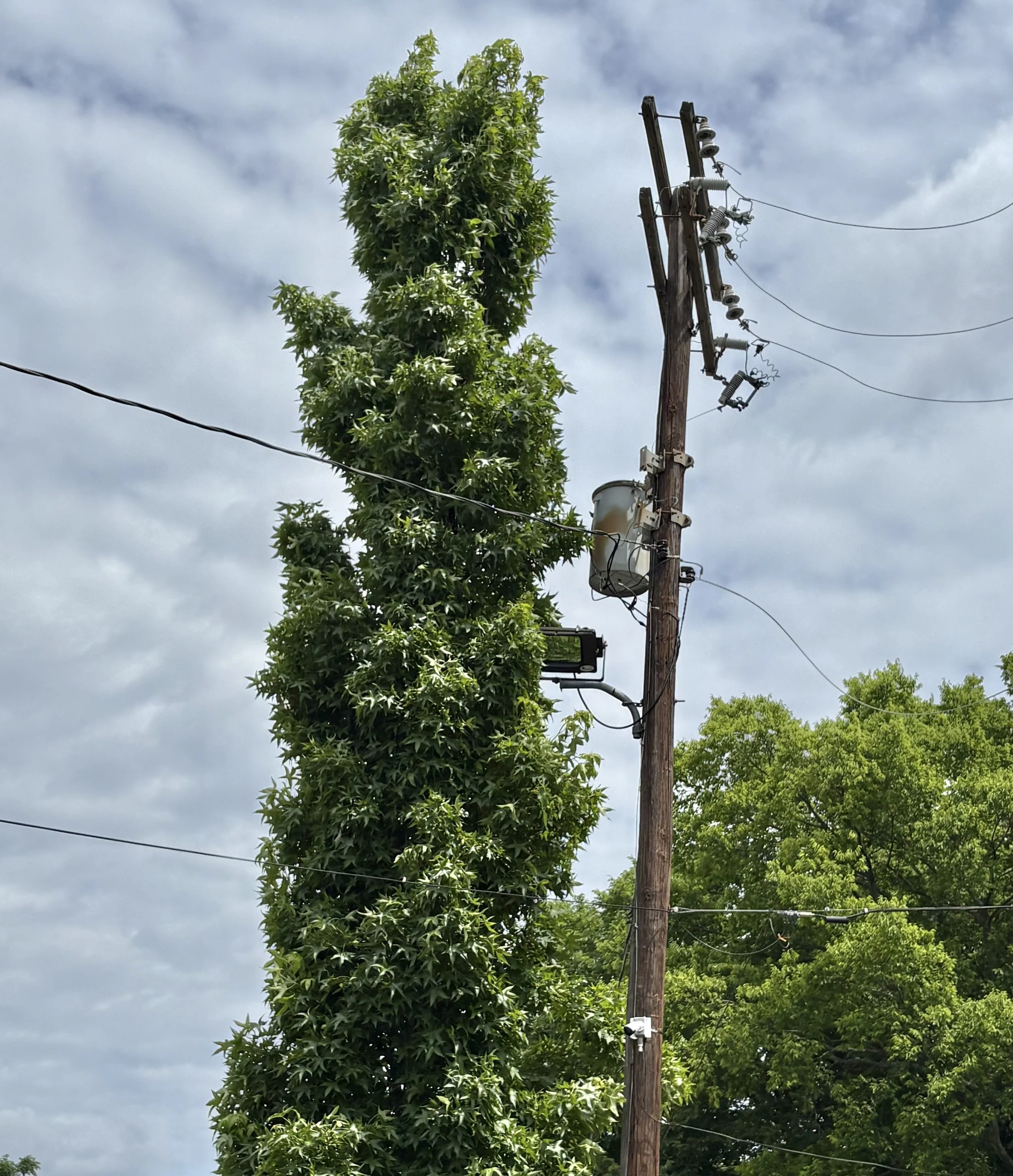 OldPowerLine.jpg