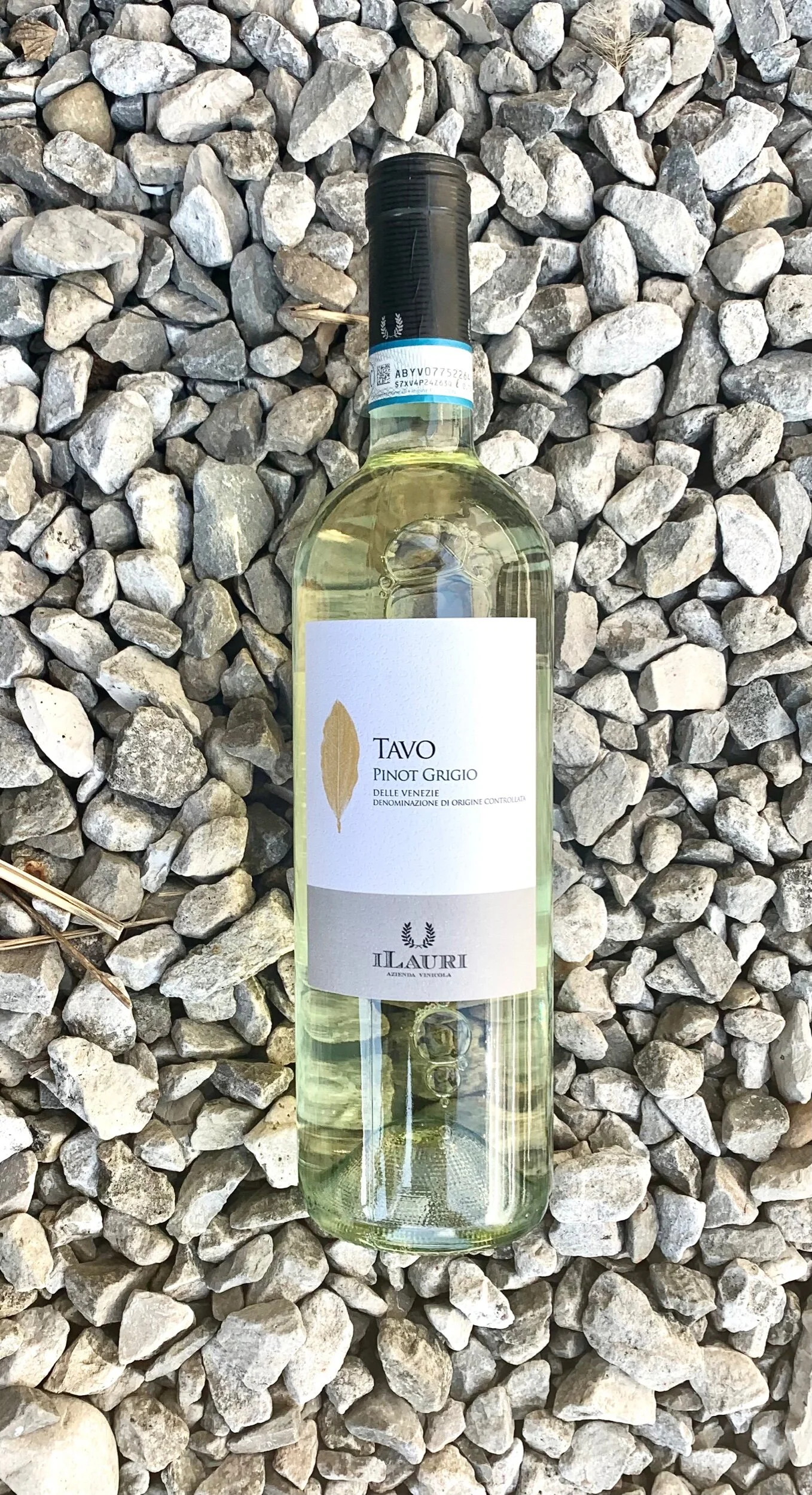 6177E6E6-371B-471A-95B9-28267BD4A6A1