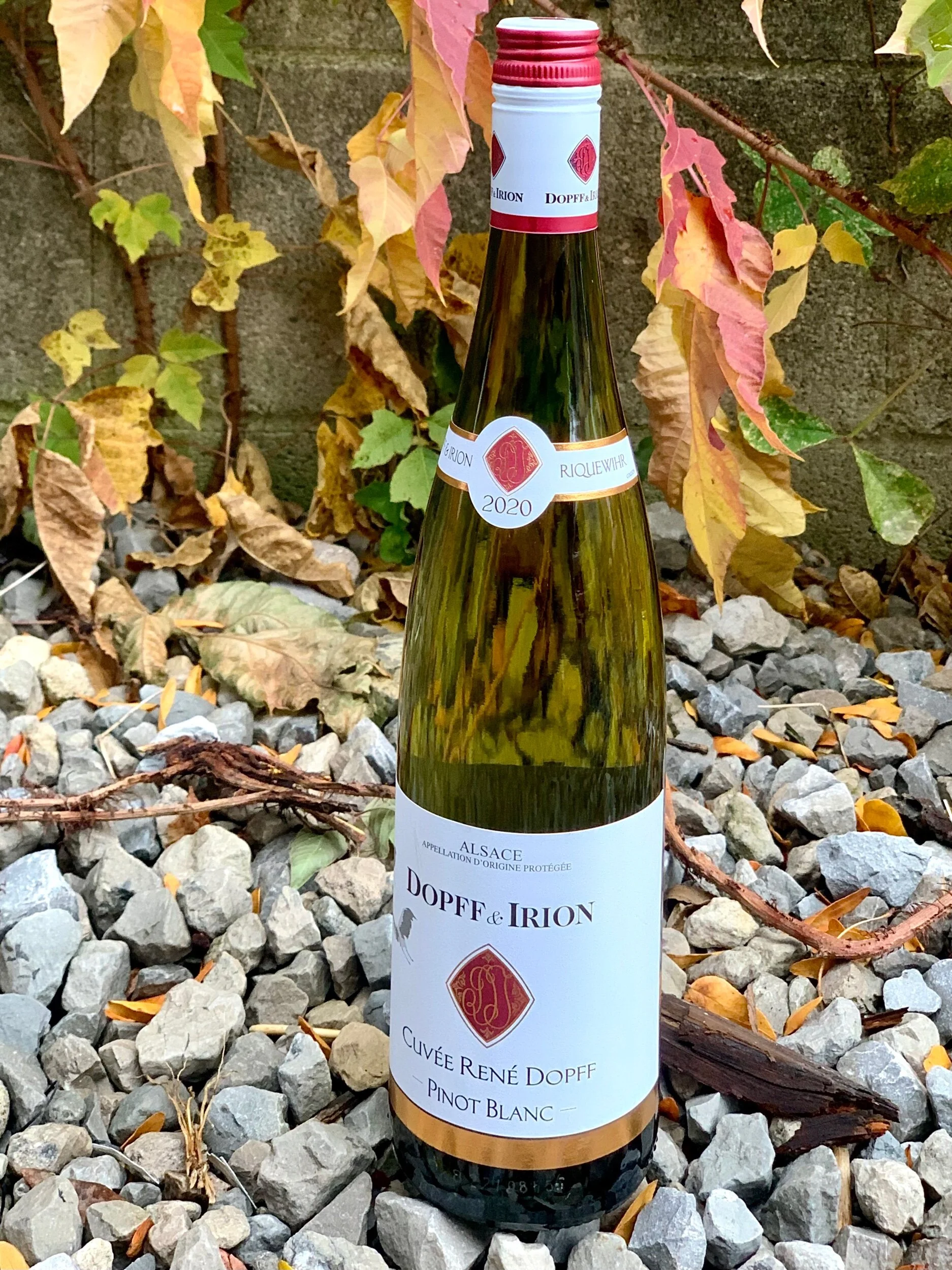 78D9950C-EE32-4194-883C-30264942FC3C