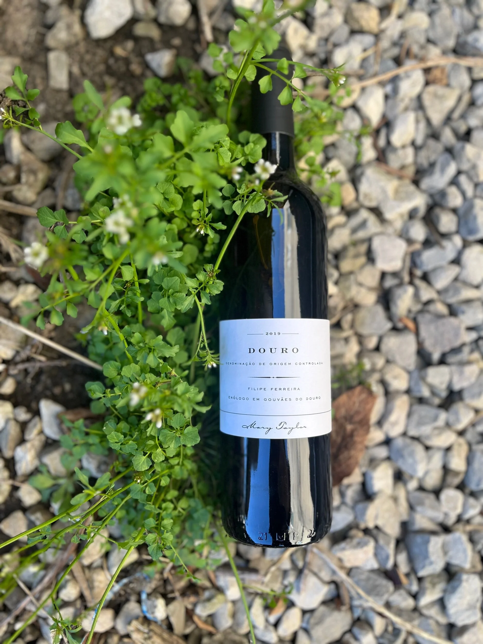 75982D03-7923-489A-BCCA-33CB97DB2D78