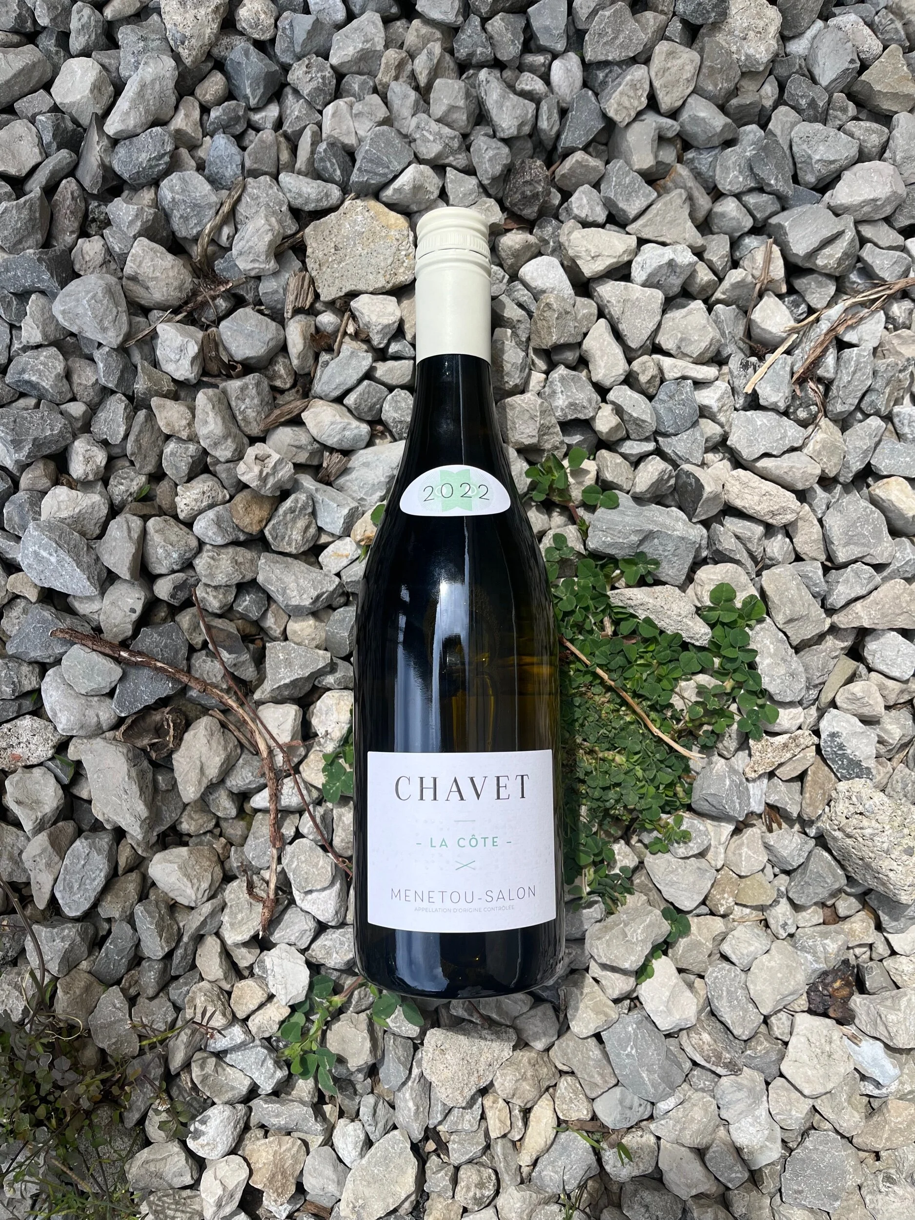 FE62055C-38C4-41A4-B833-D7915EB5ED18