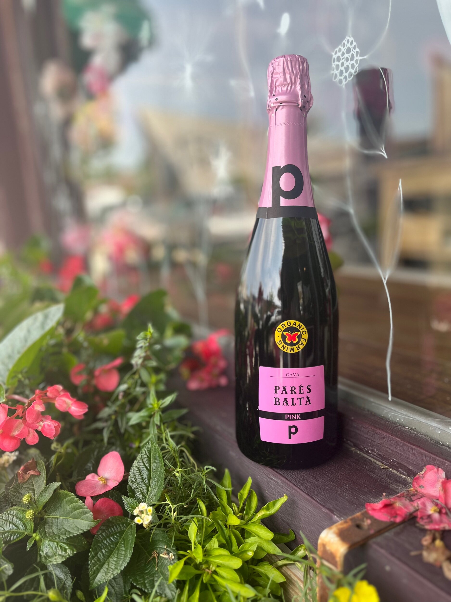 C4899BE1-39B0-4EF1-AC20-A94D5231DFA9